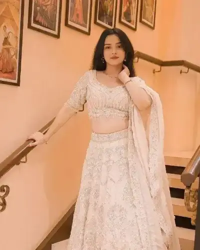 Escort Vaniyambadi